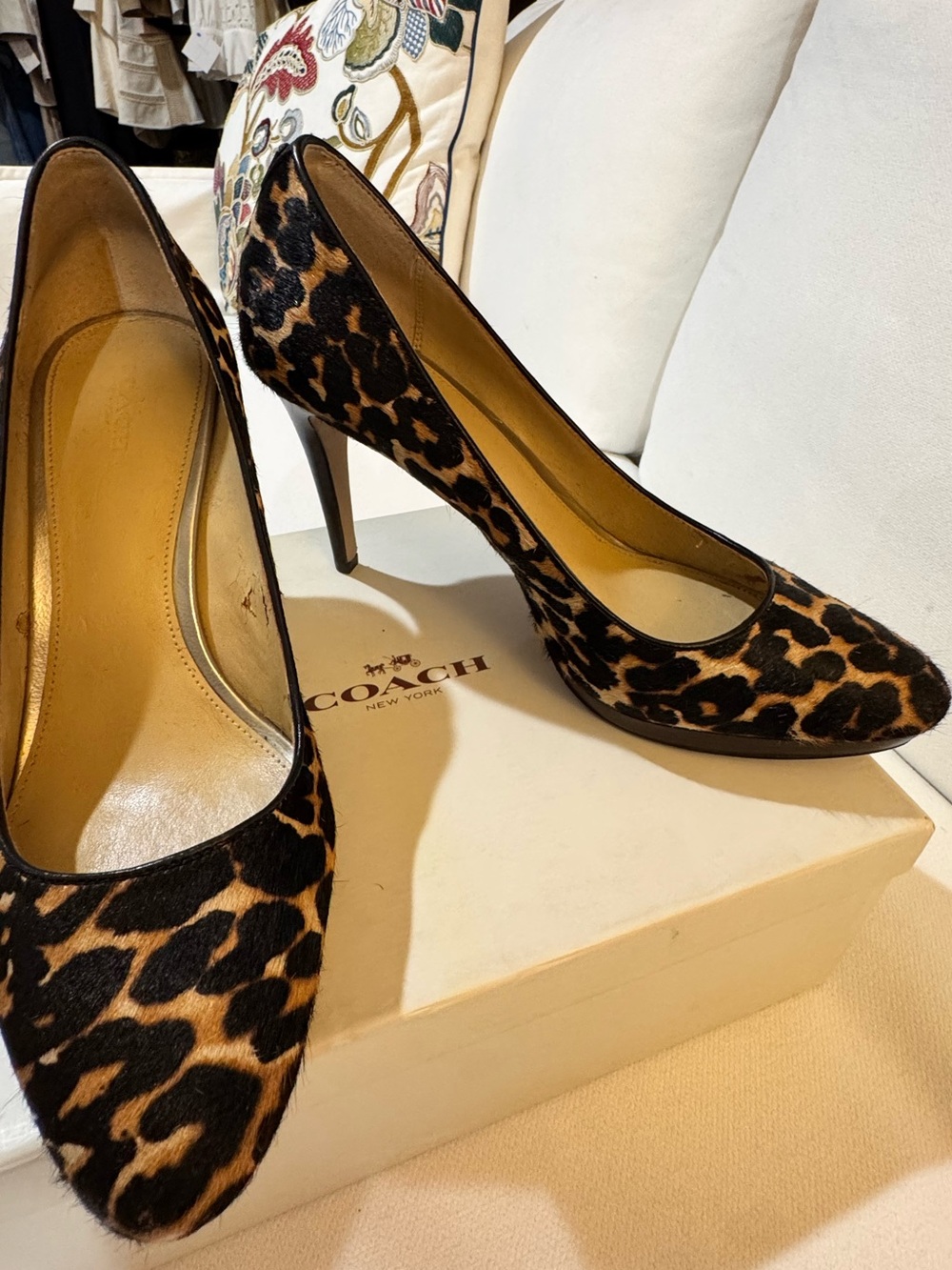 COACH calf Hair Leopard-Print Pointed Toe Stiletto Pumps - Brown/Black
